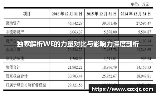 独家解析WE的力量对比与影响力深度剖析